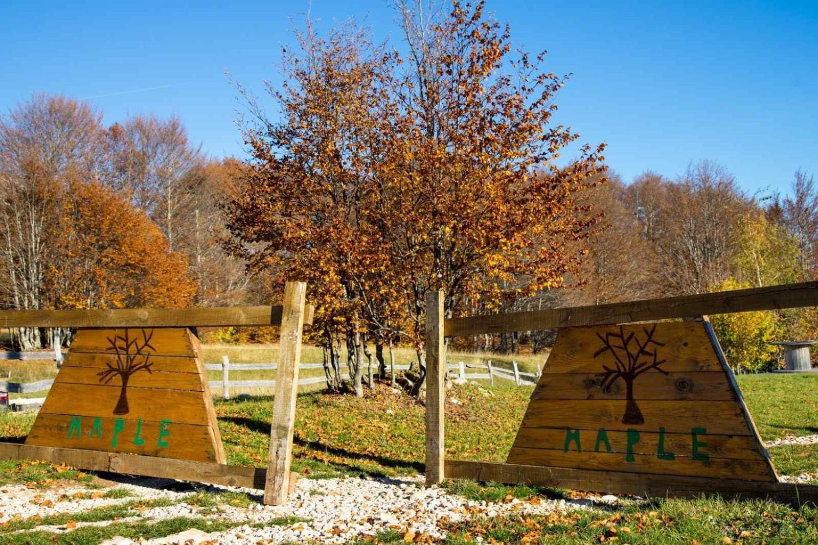 Maple Bungalows Zabljak  Luaran gambar
